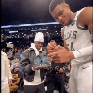 的隐喻下 的隐喻下